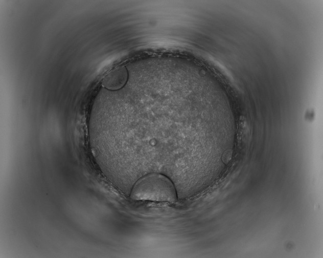 X0000101150918200807111002