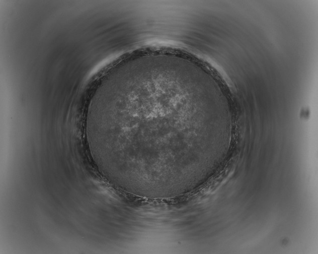 X0000101150919200807111002