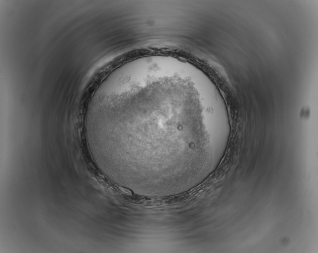 X0000101150920200807111002