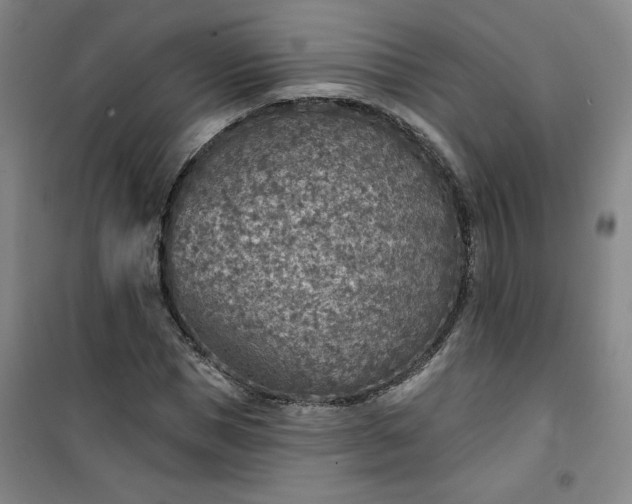 X0000101150921200807111002