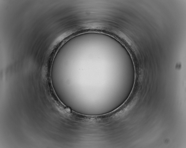 X0000101150922200807111002