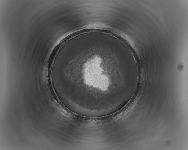 X0000101150923200807111002