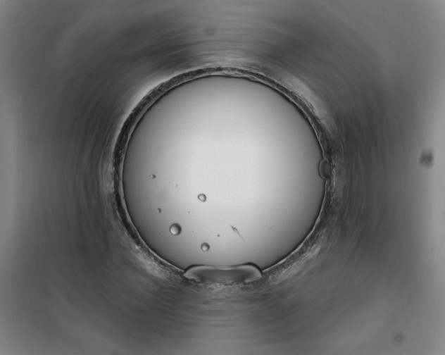 X0000101150924200807111002