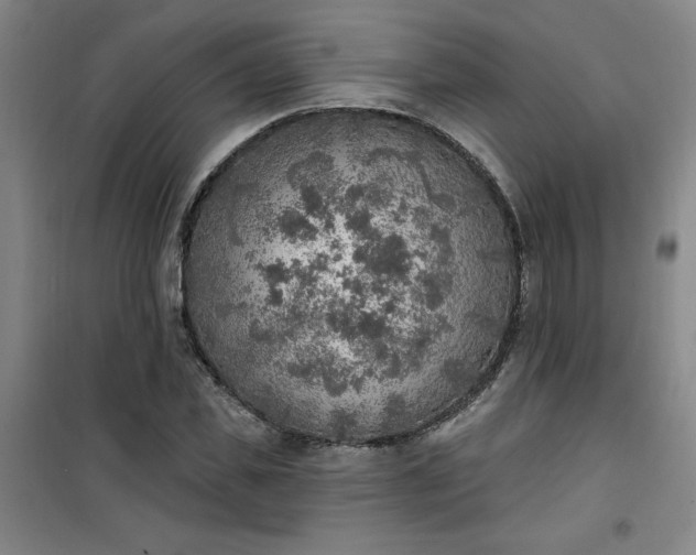 X0000101150925200807111002