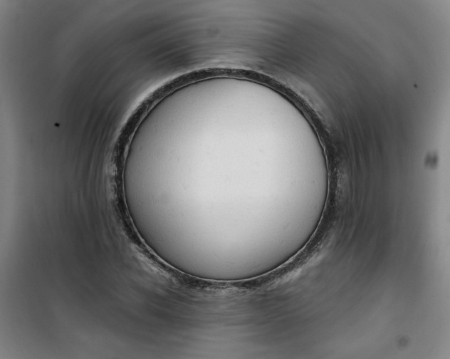 X0000101150926200807111002