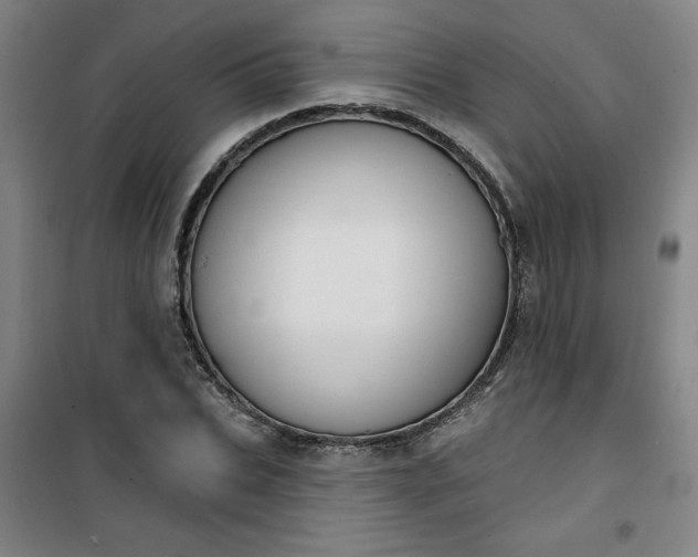 X0000101150927200807111002