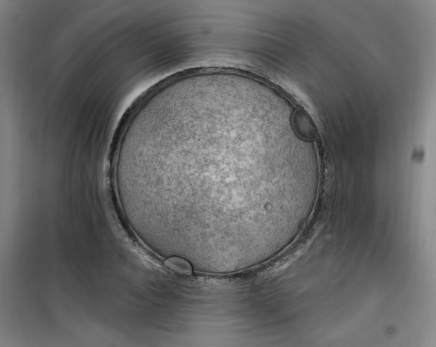 X0000101150928200807111002