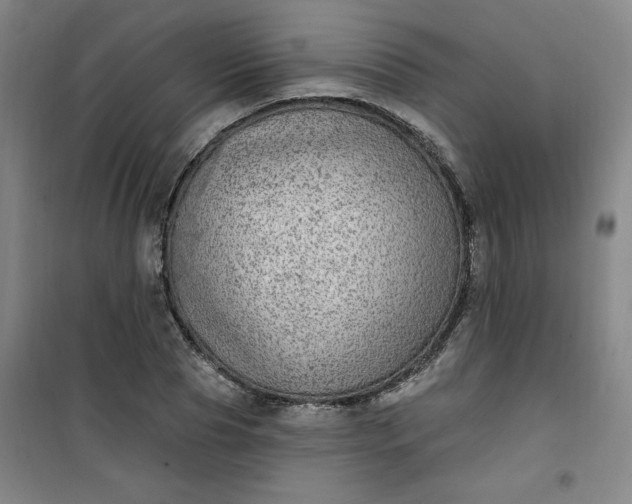 X0000101150929200807111002