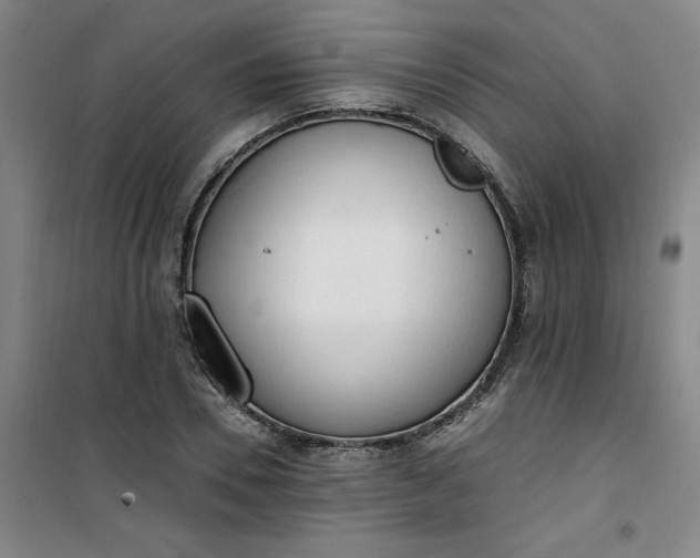 X0000101150930200807111002