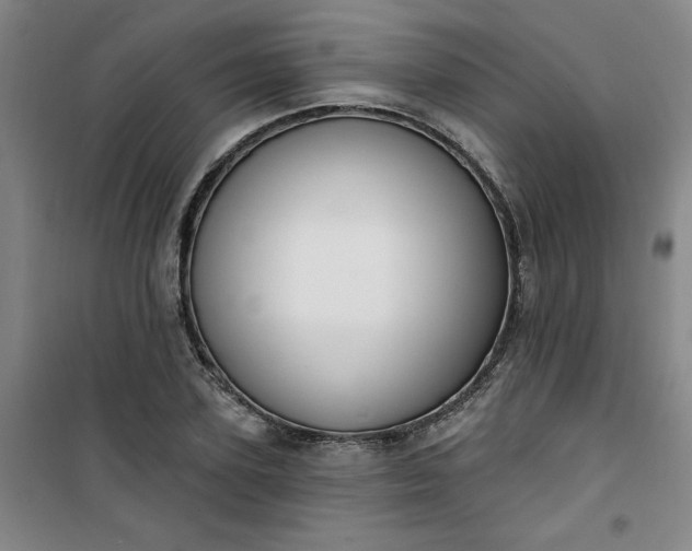 X0000101150931200807111002