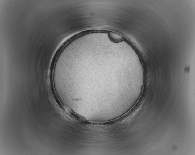 X0000101150932200807111002