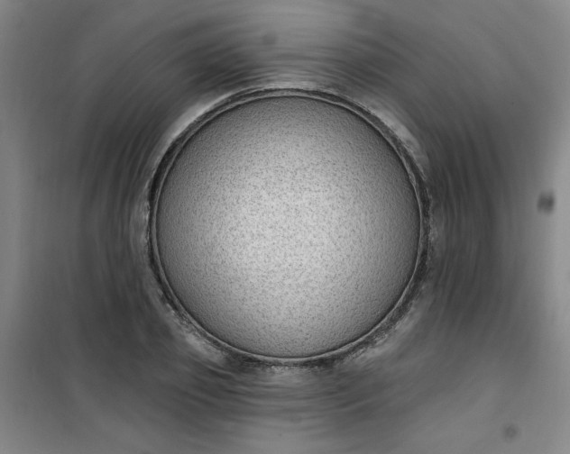 X0000101150933200807111002