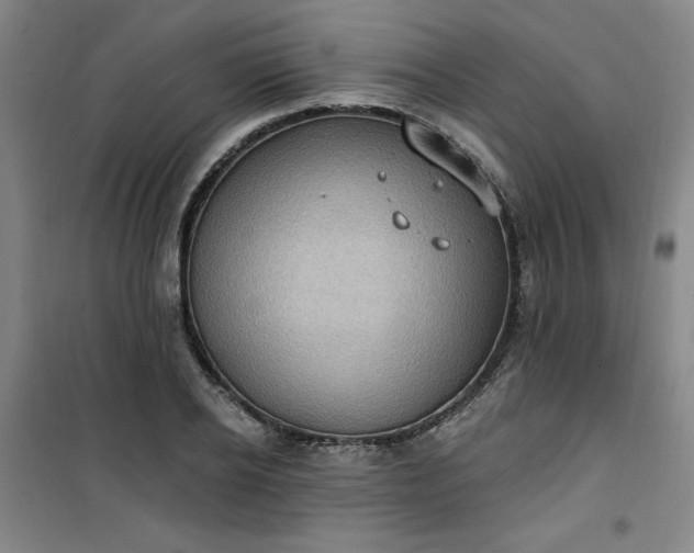 X0000101150934200807111002