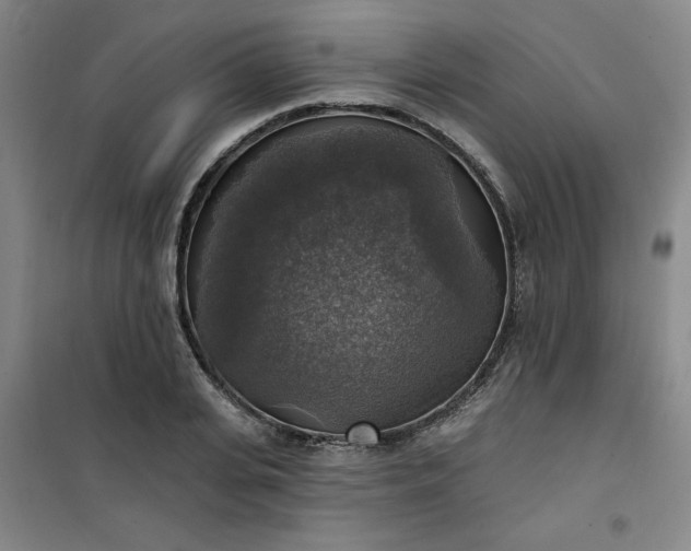 X0000101150935200807111002