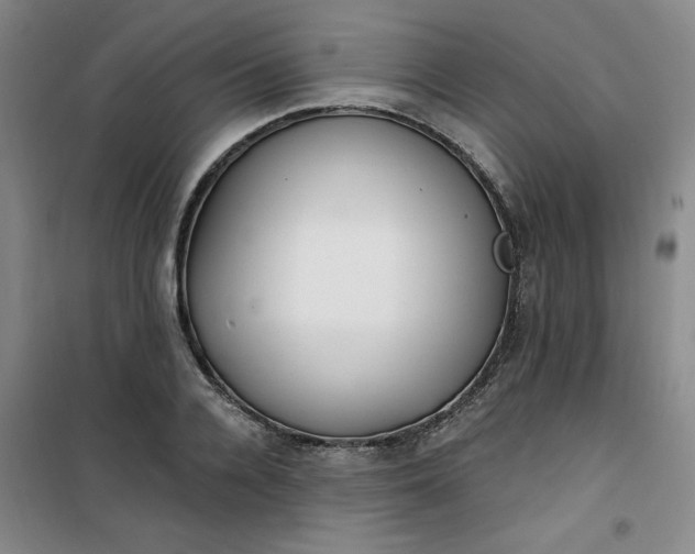 X0000101150936200807111002