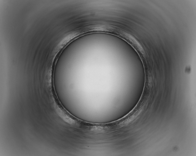 X0000101150938200807111002