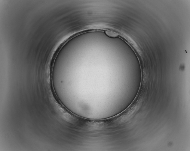 X0000101150939200807111002