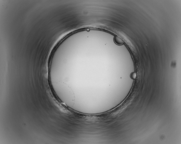 X0000101150940200807111002