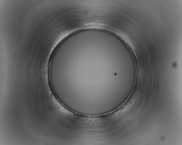 X0000101150941200807111002