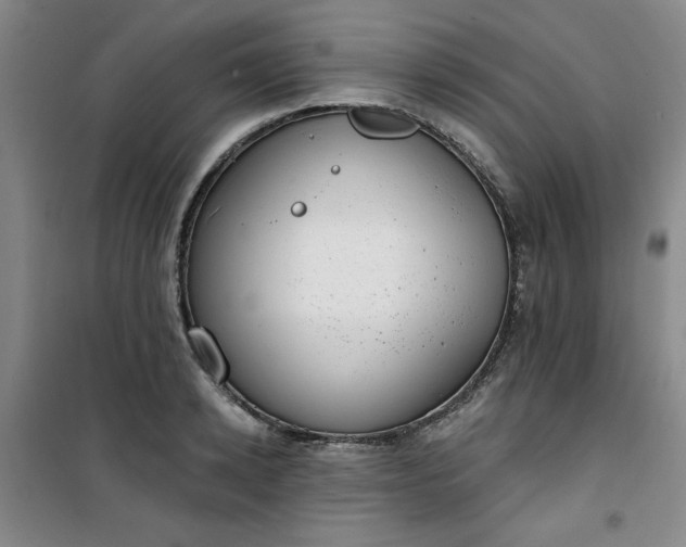 X0000101150942200807111002