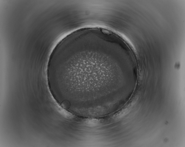 X0000101150943200807111002