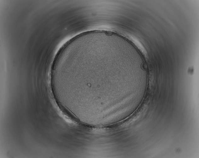 X0000101150944200807111002