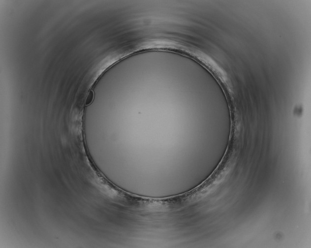 X0000101150945200807111002