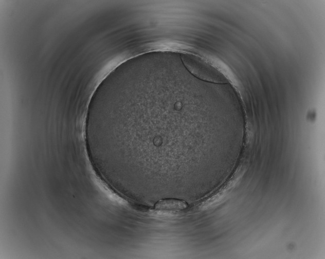 X0000101150946200807111002