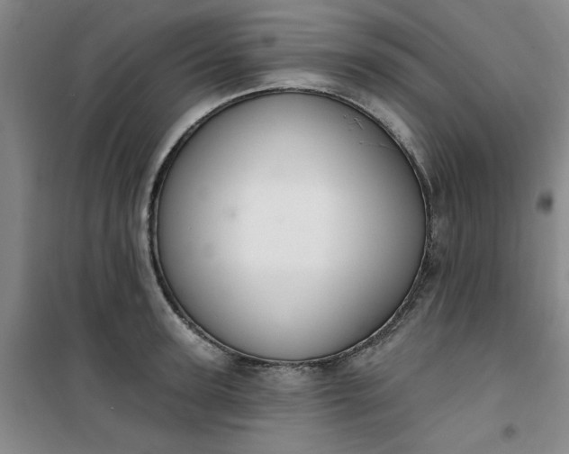 X0000101150947200807111002