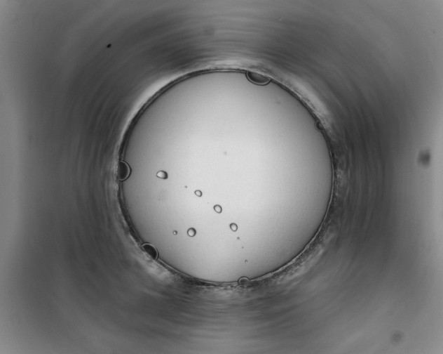 X0000101150948200807111002