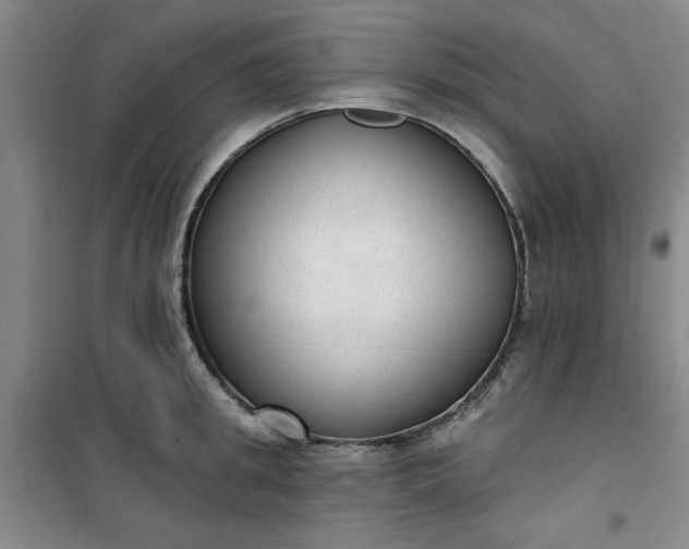 X0000101150949200807111002