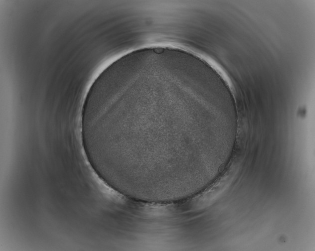 X0000101150951200807111002