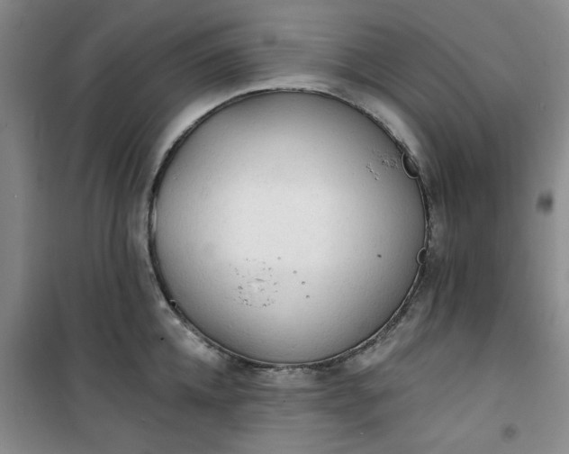 X0000101150952200807111002