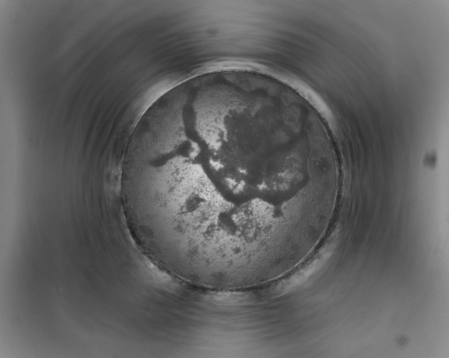 X0000101150953200807111002