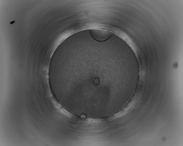 X0000101150954200807111002