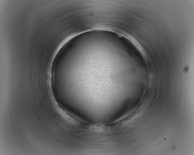 X0000101150955200807111002