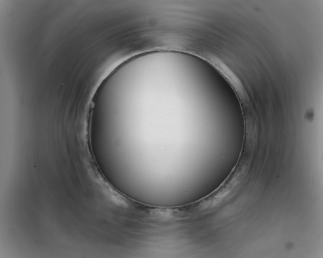 X0000101150956200807111002