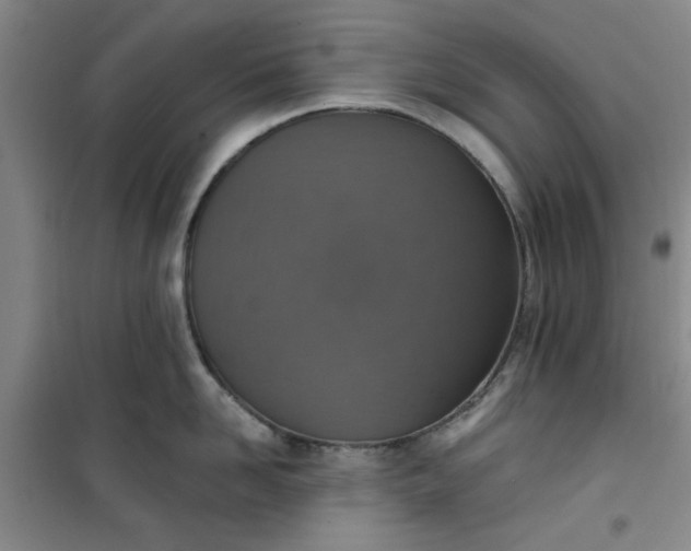 X0000101150958200807111002