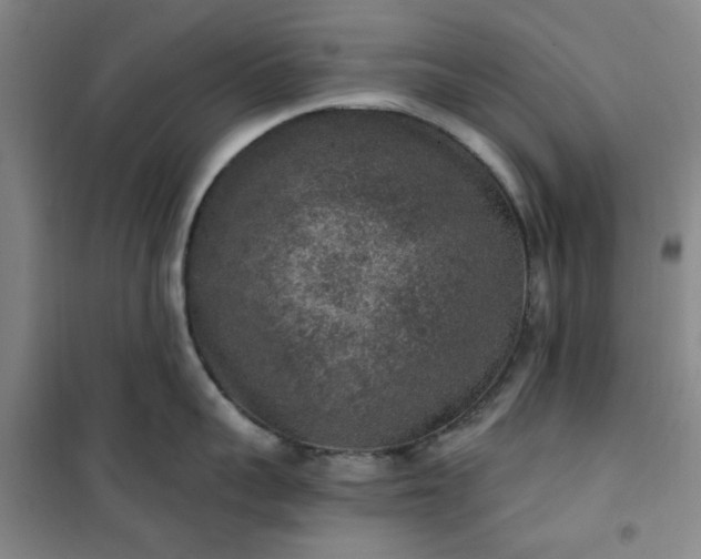 X0000101150959200807111002