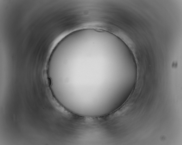 X0000101150960200807111003