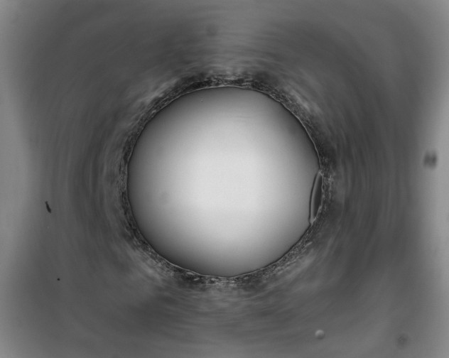 X0000101150961200807111002