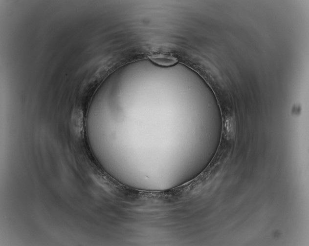 X0000101150963200807111002