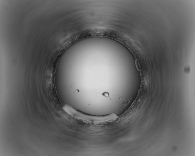 X0000101150964200807111002