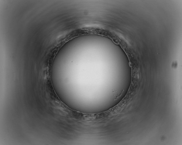 X0000101150965200807111002