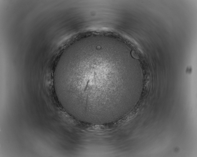 X0000101150966200807111002