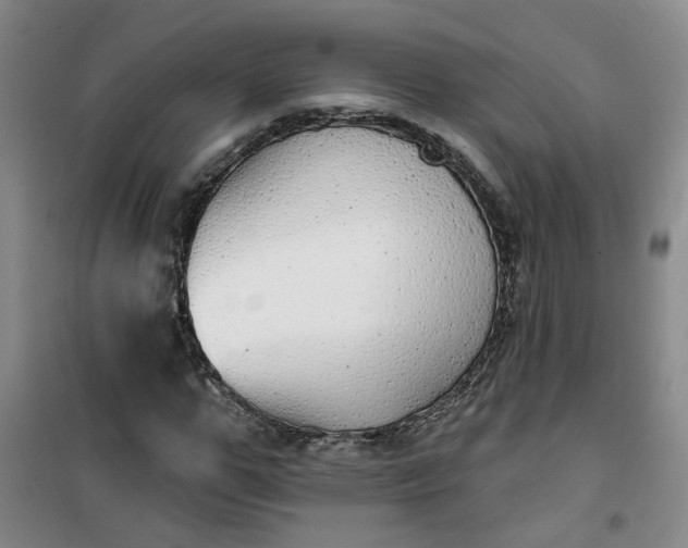 X0000101150967200807111002