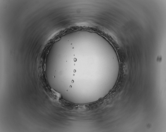 X0000101150968200807111002