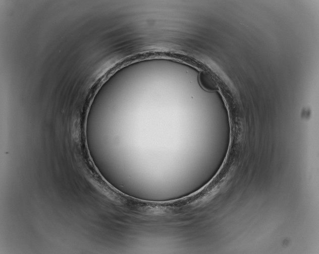 X0000101150969200807111002