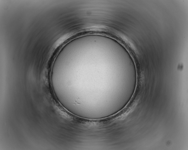 X0000101150970200807111002