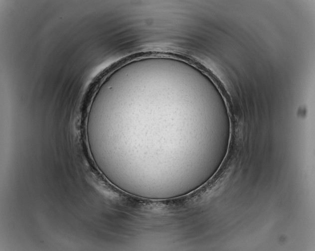 X0000101150971200807111002